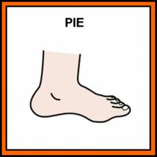 PIE - Pictograma (color)