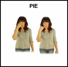 PIE - Signo