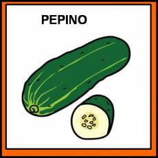 PEPINO - Pictograma (color)