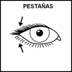 PESTAÑAS - Pictograma (blanco y negro)