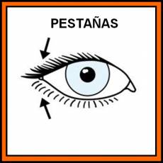 PESTAÑAS - Pictograma (color)