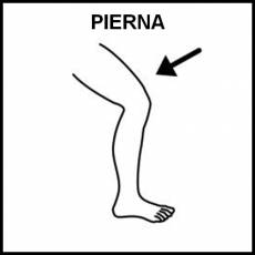 PIERNA - Pictograma (blanco y negro)