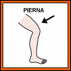 PIERNA - Pictograma (color)