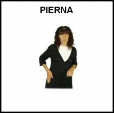 PIERNA - Signo