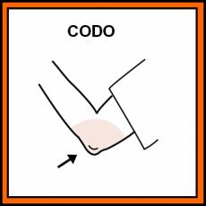 CODO - Pictograma (color)