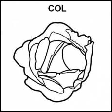 COL - Pictograma (blanco y negro)