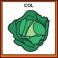 COL - Pictograma (color)