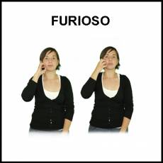 FURIOSO - Signo