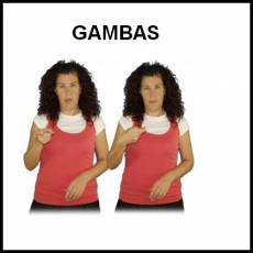 GAMBAS - Signo