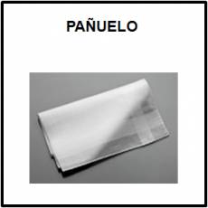 PAÑUELO (TELA) - Foto