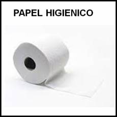 PAPEL HIGIÉNICO - Foto