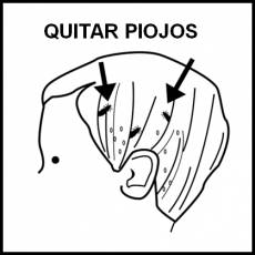 QUITAR PIOJOS - Pictograma (blanco y negro)