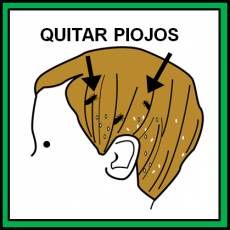 QUITAR PIOJOS - Pictograma (color)