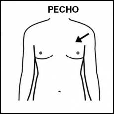 PECHO - Pictograma (blanco y negro)