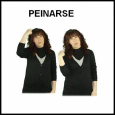 PEINARSE - Signo