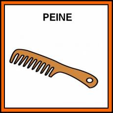PEINE - Pictograma (color)