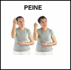 PEINE - Signo
