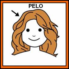 PELO - Pictograma (color)