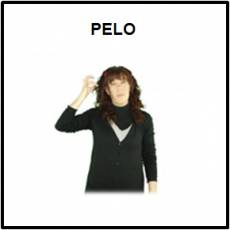 PELO - Signo