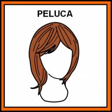 PELUCA - Pictograma (color)