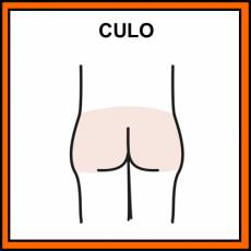 CULO - Pictograma (color)