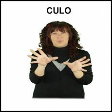 CULO - Signo