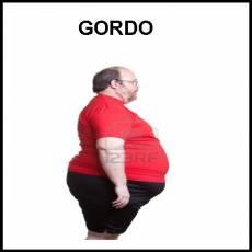 GORDO - Foto