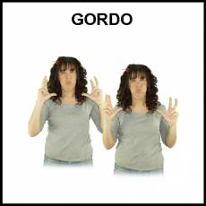 GORDO - Signo