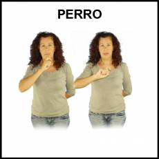 PERRO - Signo