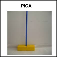 PICA - Foto