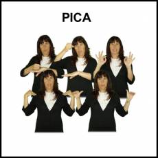 PICA - Signo