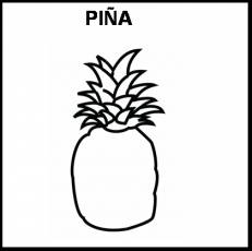 PIÑA - Pictograma (blanco y negro)