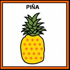 PIÑA - Pictograma (color)