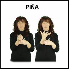 PIÑA - Signo