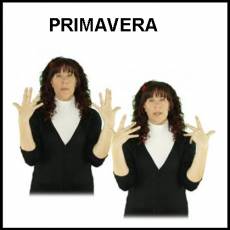 PRIMAVERA - Signo
