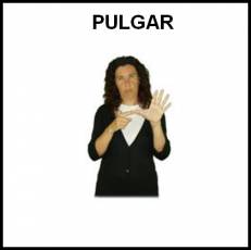 PULGAR - Signo