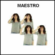 MAESTRO - Signo