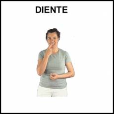 DIENTE - Signo