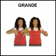 GRANDE - Signo