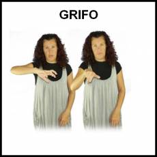 GRIFO - Signo