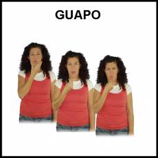 GUAPO - Signo