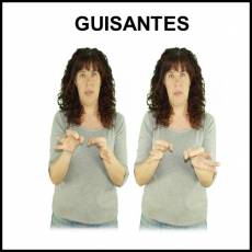 GUISANTES - Signo