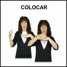 COLOCAR - Signo
