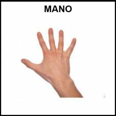 MANO - Foto