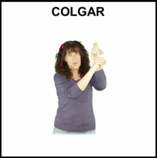 COLGAR - Signo