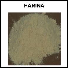 HARINA - Foto