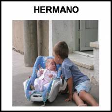 HERMANO - Foto