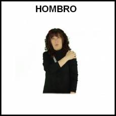 HOMBRO - Signo