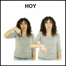 HOY - Signo
