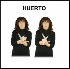 HUERTO - Signo